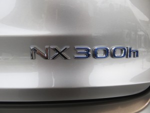 IMG_0926