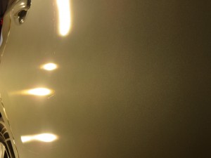 IMG_2253