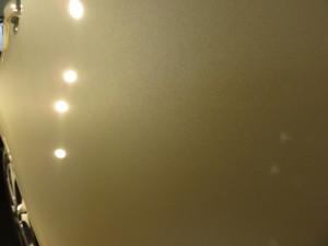 IMG_2255