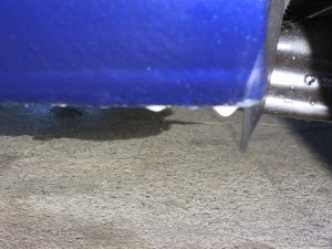 IMG_2355