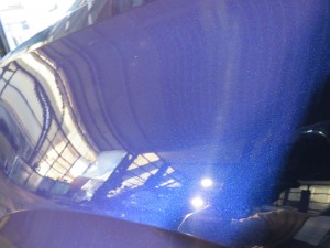 IMG_2359