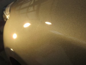 IMG_2442