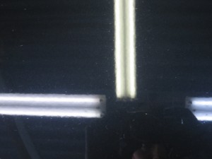 IMG_2486