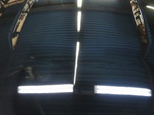 IMG_2542