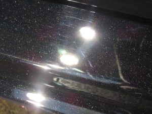IMG_2595