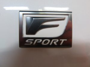 IMG_2937