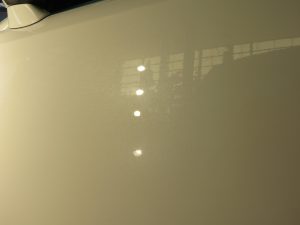 IMG_2964