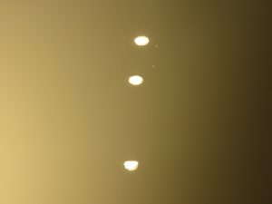 IMG_3290