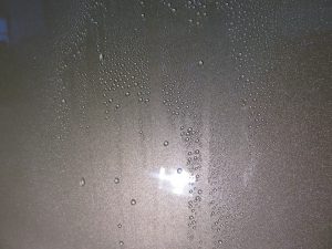 img_3350
