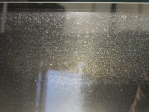 img_4305
