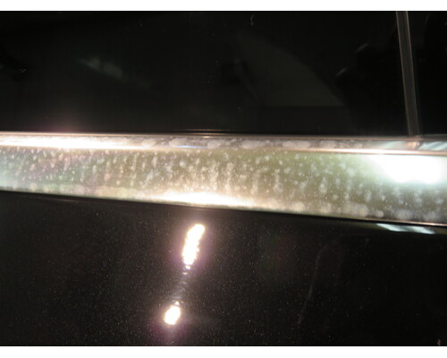 IMG_5807